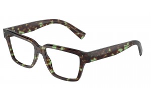 DOLCE & GABBANA DG3383 3432 Havana Green