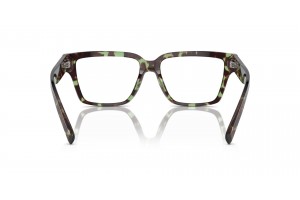 DOLCE & GABBANA DG3383 3432 Havana Green