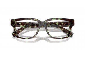 DOLCE & GABBANA DG3383 3432 Havana Green