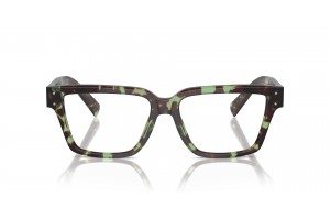 DOLCE & GABBANA DG3383 3432 Havana Green