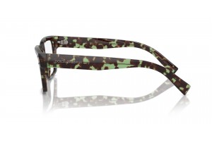 DOLCE & GABBANA DG3383 3432 Havana Green