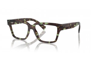DOLCE & GABBANA DG3383 3432 Havana Green