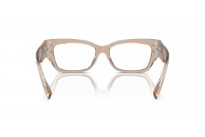 DOLCE & GABBANA DG3387 Transparent Camel szemüveg