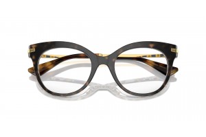 DOLCE & GABBANA DG3392 3217 Havana szemüveg