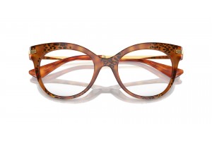 DOLCE & GABBANA DG3392 Havana Leo szemüveg