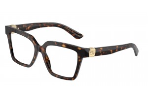 DOLCE & GABBANA DG3395 502 Havana Demo Lens szemüveg