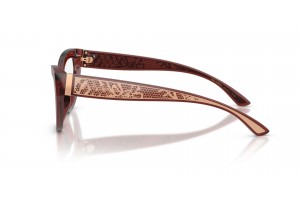 Dolce & Gabbana DG3412 Transparent Bordeaux