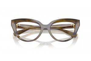 Dolce & Gabbana DG3414 Striped Olive