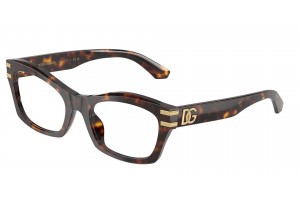 DOLCE & GABBANA DG3420 502 Havana Demo Lens szemüveg