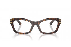 DOLCE & GABBANA DG3420 502 Havana demo lencse