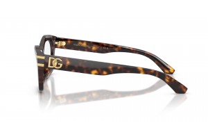DOLCE & GABBANA DG3420 502 Havana demo lencse