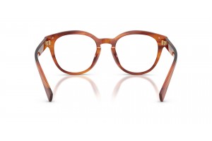 DOLCE & GABBANA DG3421 3221 Striped Ginger demo lencse