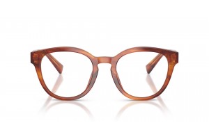 DOLCE & GABBANA DG3421 3221 Striped Ginger demo lencse