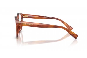 DOLCE & GABBANA DG3421 3221 Striped Ginger demo lencse