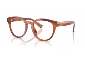 DOLCE & GABBANA DG3421 3221 Striped Ginger demo lencse