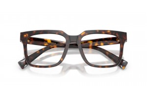 DOLCE & GABBANA DG3422 502 Havana - demo lencse