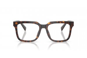 DOLCE & GABBANA DG3422 502 Havana - demo lencse