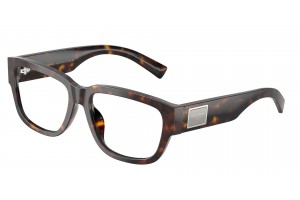 DOLCE & GABBANA DG3423 Havana