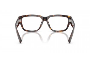DOLCE & GABBANA DG3423 Havana