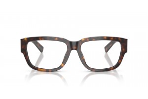 DOLCE & GABBANA DG3423 Havana