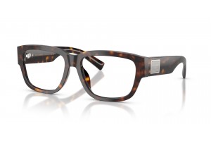 DOLCE & GABBANA DG3423 Havana