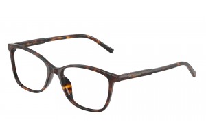 DOLCE & GABBANA DG3424 502 Havana Demo Lens szemüveg