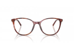 DOLCE & GABBANA DG3425 3444 Havana Brown szemüveg