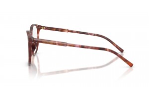 DOLCE & GABBANA DG3425 3444 Havana Brown szemüveg
