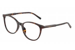 DOLCE & GABBANA DG3425 502 Havana Demo Lens szemüveg