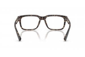 DOLCE & GABBANA DG3432 Black On Red Havana szemüveg