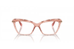DOLCE & GABBANA DG5025 3148 Transparent Pink