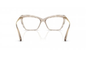 DOLCE & GABBANA DG5025 3432 Transparent Camel