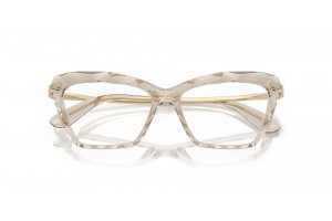 DOLCE & GABBANA DG5025 3432 Transparent Camel