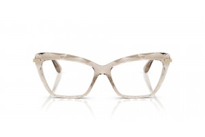DOLCE & GABBANA DG5025 3432 Transparent Camel