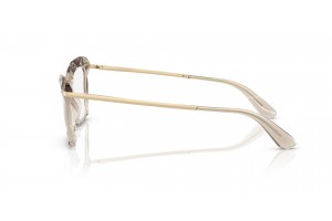 DOLCE & GABBANA DG5025 3432 Transparent Camel