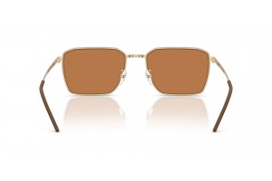 EMPORIO ARMANI EA2172D 301373 fényes arany barna
