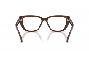 EMPORIO ARMANI EA3256U 6251 fényes áttetsző barna