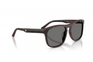 Scuderia Ferrari FZ6020U - Havana/Red Polar Dark Grey