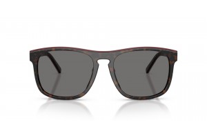 Scuderia Ferrari FZ6020U - Havana/Red Polar Dark Grey