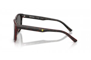 Scuderia Ferrari FZ6020U - Havana/Red Polar Dark Grey