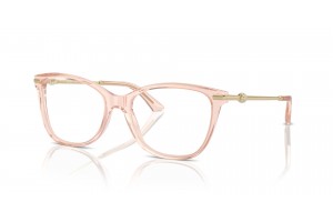 Jimmy Choo JC3007HB 5034 - Transparent Pink szemüveg