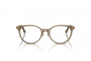 JIMMY CHOO JC3039D 5051 Transparent Brown szemüvegkeret