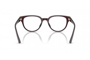 JIMMY CHOO JC3051D 5086 Opaline Prune szemüveg