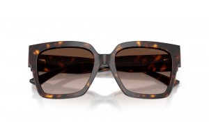 Jimmy Choo JC5047B Havana napszemüveg