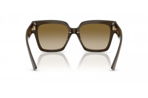 JIMMY CHOO JC5047B Caper Green Brown Gradient napszemüveg