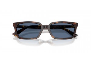 Jimmy Choo JC5050U Havana Blue napszemüveg