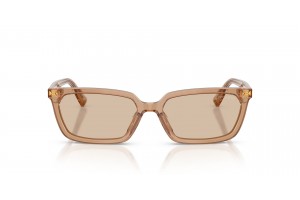 Jimmy Choo JC5050U Transparent Tan napszemüveg