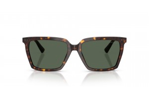 Jimmy Choo JC5051 Havana Dark Green napszemüveg