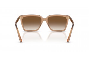 Jimmy Choo JC5051 napszemüveg - Transparent Tan Gradient Brown