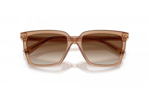 Jimmy Choo JC5051 napszemüveg - Transparent Tan Gradient Brown